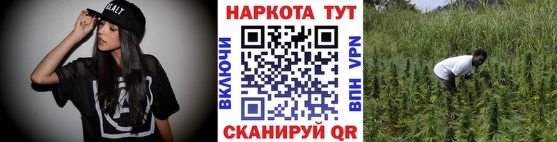 Купить наркотики цена Дигора Галлюциногенные грибы  A PVP  КОКАИН  LSD-25  Меф  Канабис  АМФ  ГАШ 