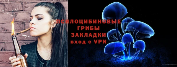 PSILOCYBIN Белокуриха