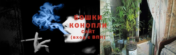 эйфоретик Белоозёрский