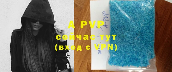 PSILOCYBIN Белокуриха