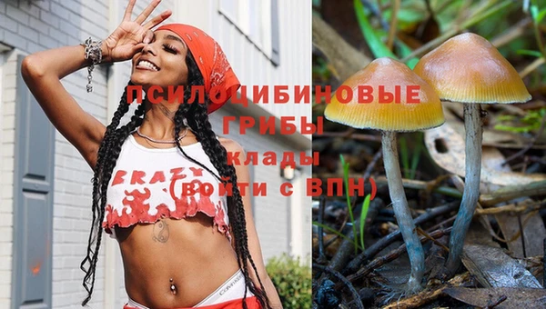 крисы Няндома