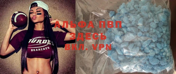 PSILOCYBIN Белокуриха