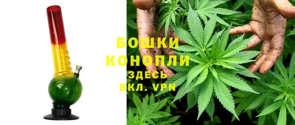 PSILOCYBIN Белокуриха
